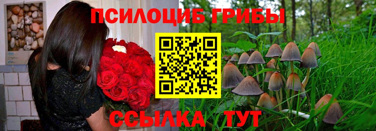 Галлюциногенные грибы мухоморы  Вход с VPN  Лесосибирск 